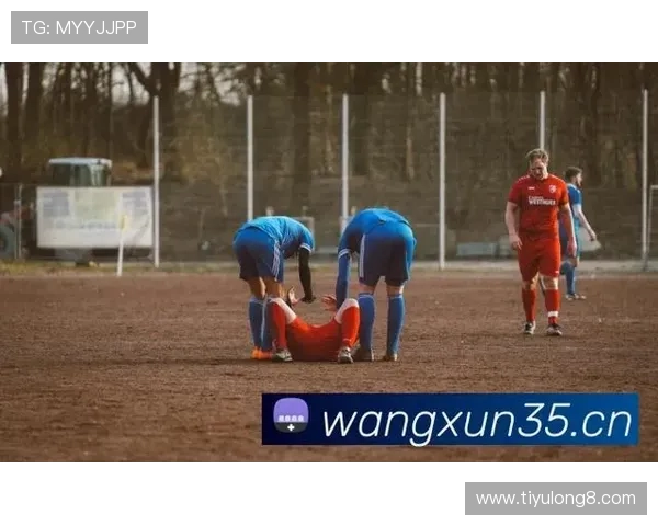 ayx爱游戏体育的特色功能介绍及其在体育迷中的应用价值