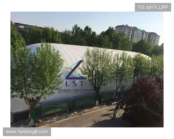 U发体育为体育爱好者提供个性化定制方案，提升用户粘性和互动体验