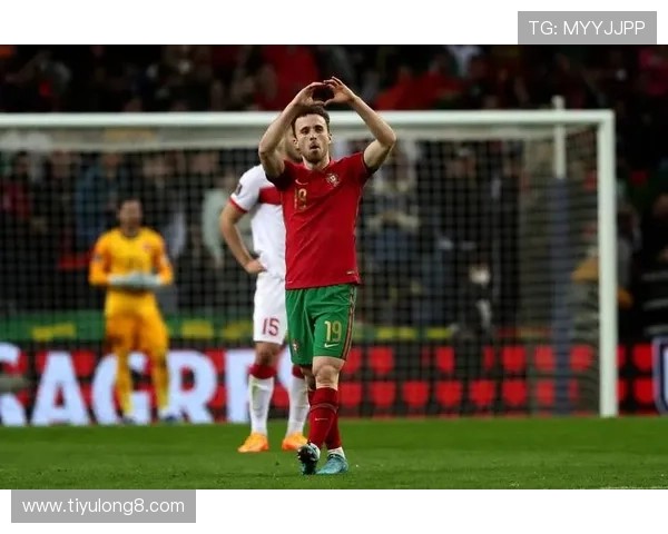 深入解析世界杯预选赛欧洲区积分榜中葡萄牙队的排名走势与晋级前景 深入解析世界杯预选赛欧洲区积分榜中葡萄牙队的排名走势与晋级前景