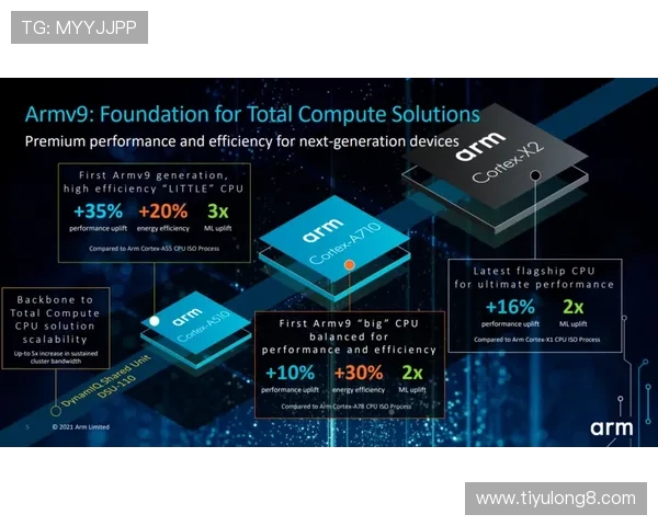 im体育官方平台安全保障措施，确保用户个人信息与资金安全的全面保障方案