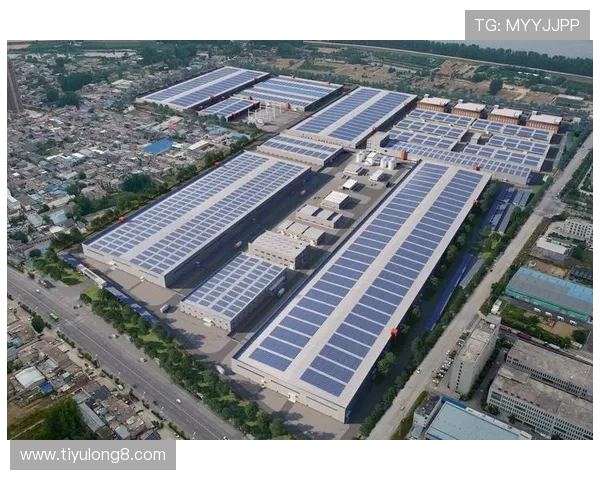 新利娱乐的合作伙伴与品牌背书：行业信誉与合作优势详解